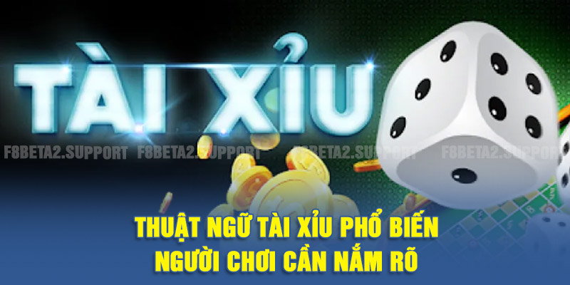 Thuật ngữ tài xỉu phổ biến người chơi cần nắm rõ